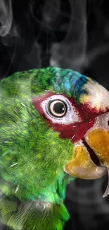 Closeup view of a vibrant colorful parrot with intricate feather details.