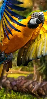 Vibrant parrot in flight with colorful feathers against a forest background.