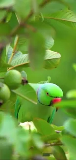 Bright green parrot amidst lush leaves, vibrant nature wallpaper for mobile.