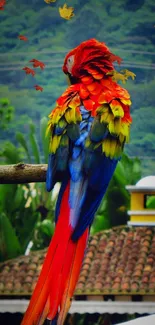 Colorful parrot perched on a branch with vibrant feathers.