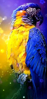 Vibrant parrot with blue and yellow feathers on a luminous background wallpaper.