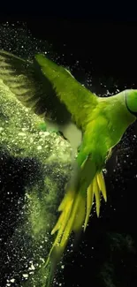 A dynamic green parrot in flight with vibrant splashes on a dark background.