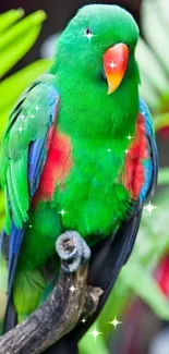 Vibrant green parrot perched on a branch with lush leaves.