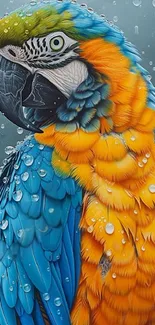 Colorful parrot with raindrops on feathers, showcasing vibrant blues and oranges.