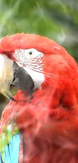 Red parrot perched in a vibrant jungle setting.