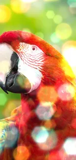 Vibrant red and green parrot in a lush jungle setting.