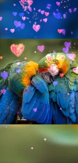 Colorful macaws cuddling with floating hearts.