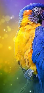 Vibrant parrot with blue and yellow feathers on colorful background.