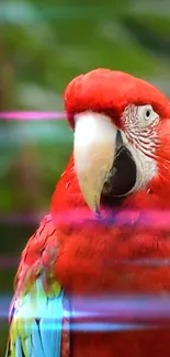 Vibrant red parrot with neon lights background.