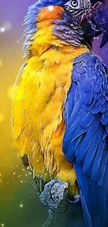 Vibrant yellow and blue parrot on a colorful background.