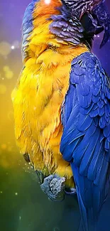 Colorful parrot with blue and yellow feathers on vibrant background.