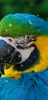 Vibrant blue and yellow parrot with lush green background.