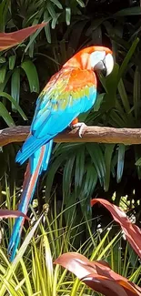 Colorful parrot on a branch in lush green forest.