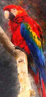 Vibrant red parrot perched on branch with colorful abstract background.