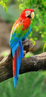 Colorful parrot sitting on a tree branch in a lush green setting.