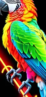 Vibrant parrot with neon background on mobile wallpaper.