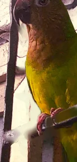 A vibrant olive-green parrot perched elegantly, set against a wooden background.