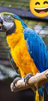 Blue and yellow macaw parrot sitting on a branch with a smiling emoji in the corner.