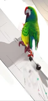 Colorful parrot perched on a skateboard with a white background.