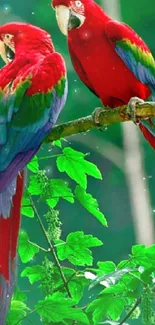 Vibrant parrots perched in a green jungle setting, perfect for mobile wallpaper.