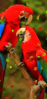 A pair of vibrant red parrots perched on a branch in a natural setting.