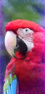 Vivid red parrot with colorful feathers and a sparkling effect as a phone wallpaper.