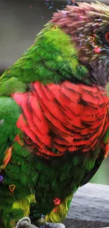 Vibrant green and red parrot perched outdoors.