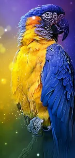 Vibrant blue and yellow parrot on colorful background.