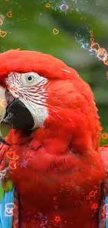 Colorful parrot with vibrant feathers and sparkles in background.