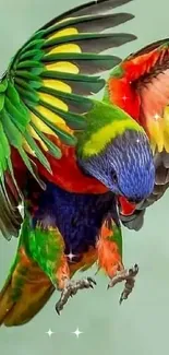 Vibrant parrot in flight with colorful wings on green background.