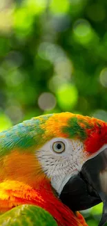 Vibrant parrot with colorful feathers and green background.