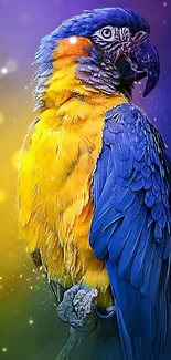 Vibrant blue and yellow macaw with a starry backdrop.