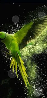 Green parrot in flight with a vibrant background.