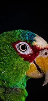 Close-up of a vibrant green parrot on a dark background.