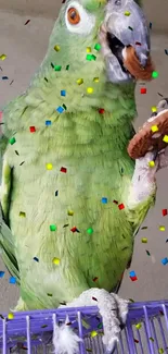 Green parrot holding a cookie with colorful confetti background.