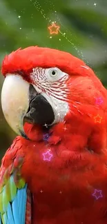 Vibrant red parrot with colorful stars and feathers in a lush background.