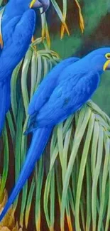 Blue parrots perched on jungle foliage in vibrant wallpaper.