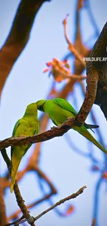 Two green parrots perched on a tree branch.