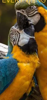 Colorful parrots expressing love in a vibrant natural setting.