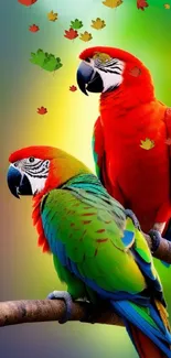 Two vibrant parrots perched on a branch with a colorful background.