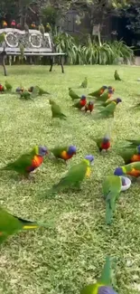 Vibrant parrot flock on green lawn in garden.