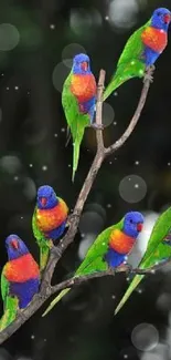 Colorful parrots perched on a branch against a nature backdrop.