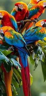Colorful parrots perched on a lush branch.