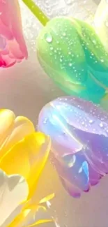 Vibrant pastel flowers with water droplets