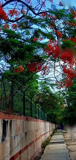 Vibrant pathway with red blossoms and lush trees, creating a serene natural scene.