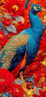 Colorful peacock among vibrant red flowers.