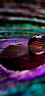 Vibrant peacock feather with water droplet in rich purple and green hues.