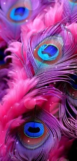 Vibrant peacock feather wallpaper with pink and blue hues.