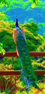 Colorful peacock in vibrant forest scene wallpaper.