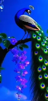 Vibrant peacock perched on a tree branch with blue sky backdrop.